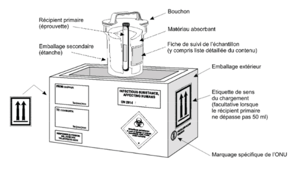 Le transport de matière biologique infectieuse - schéma